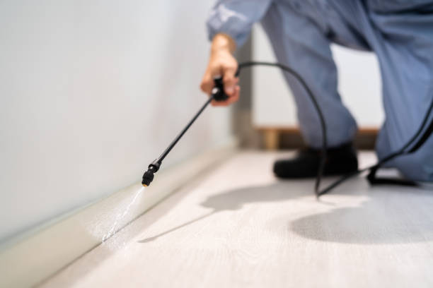 Licensed Rodent Control service in Wilton, CA - Nex Pest Control
