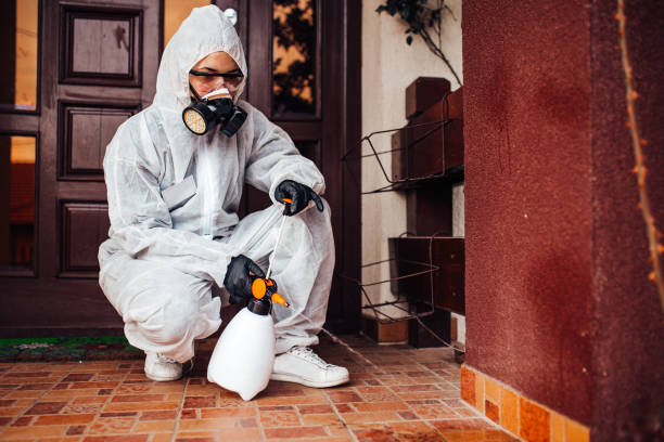 Reliable Rodent Control contractor in Wilton, CA by Nex Pest Control